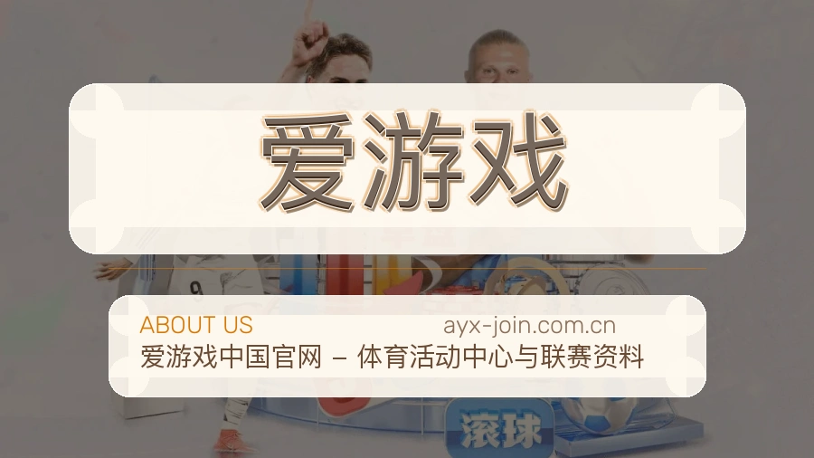 爱游戏体育入口服务